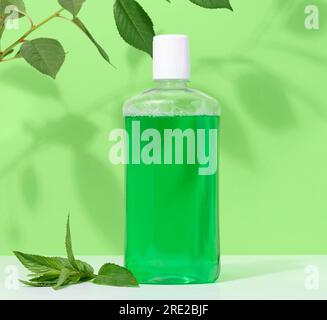 Refreshing mouthwash in a transparent plastic bottle on a green background Stock Photo