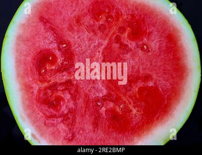 Close up of center of seedless watermelon (Citrullus lanatus) Stock Photo