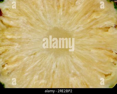 Photo of the center of a slice of pineapple, Ananas comosus. Stock Photo