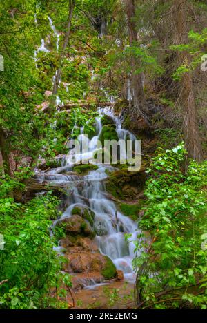 Mountain stream flowing from Hanging Lake along a hiking trail in central Colorado. Stock Photo