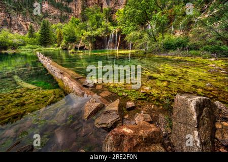 Hanging Lake in central Colorado, an isolated mountain lake featuring fallen tree in deep perspective with a waterfall background. Stock Photo