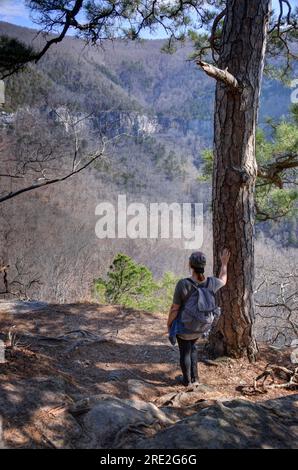 Ponca Wilderness Area, northwest Arkansas, USA - March 15, 2018: A Hiker looks out over Hemmed-in-Hollow in the Boston Mountains, Northwest Arkansas. Stock Photo
