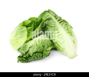 Fresh green romaine lettuces isolated on white Stock Photo