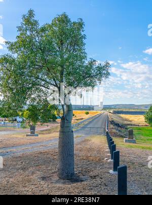 The Callide coal fired power station near Biloela in Queensland, australia Stock Photo