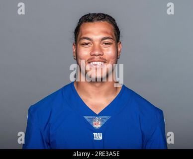 New York Giants safety Dane Belton (24) defends against the Detroit Lions  during an NFL football game Sunday, Nov. 20, 2022, in East Rutherford, N.J.  (AP Photo/Adam Hunger Stock Photo - Alamy