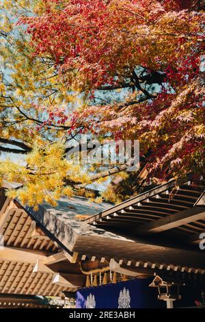 Atsuta Shrine with autumn leaves in Nagoya, Japan Stock Photo