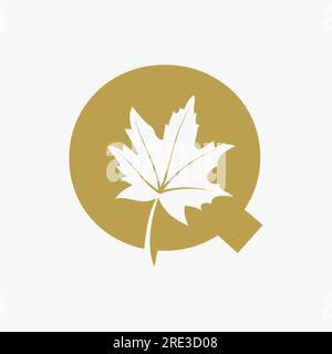 Letter Q Maple Leaf Elegant Logo. Maple Leaf Logotype Vector Template Stock Vector