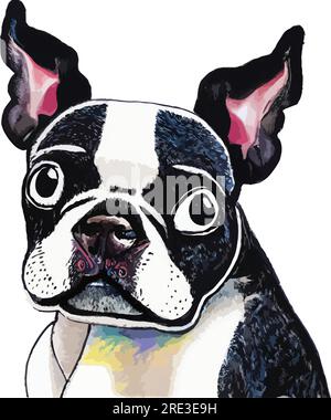 An illustration of a Boston Terrier Stock Vector