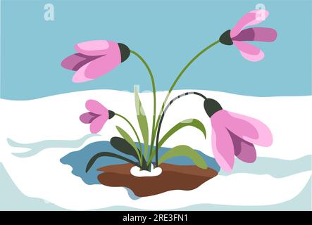 Spring blooming and revival of nature, crocus growing out of snow. Blossom of first flowers. Snowy landscape with frost and chill and botany, march or Stock Vector