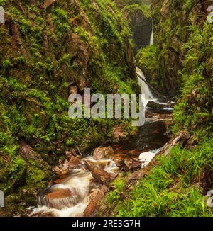 Stanley Ghyll waterfall Eskdale lake district Cumbria north east England UK Stock Photo