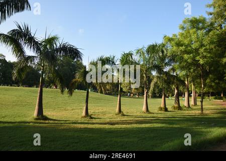 Chandrashekhar Azad Park (also known by its former name Alfred Park, and Company Bagh during the Company Raj). It is a public park in Prayagraj (forma Stock Photo