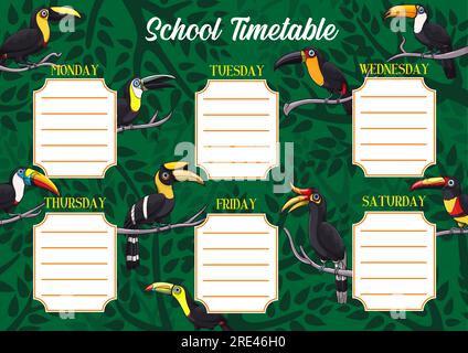 School timetable or schedule, education vector template with exotic toucan birds. Student planner or weekly lesson chart layout on background with tropical toucans, toucanets and jungle palm trees Stock Vector