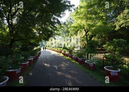 Chandrashekhar Azad Park (also known by its former name Alfred Park, and Company Bagh during the Company Raj). It is a public park in Prayagraj (forma Stock Photo