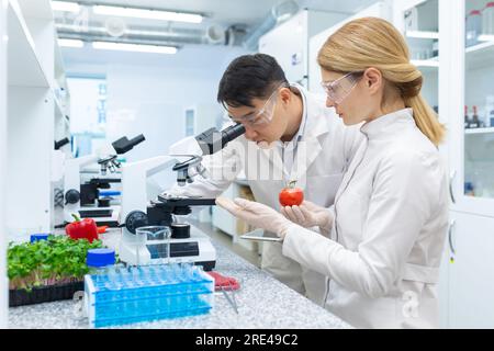 Scientist team asian man and woman testing and researching food, researchers testing vegetables inside laboratory using microscope, workers in white medical coats. Stock Photo