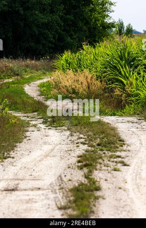 Sandy country road among the fields. Photo taken on a sunny day Stock Photo