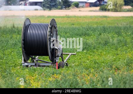 Travelling sprinkler with hose reel irrigation machine spaying water over a  farmland during a drought summer Stock Photo - Alamy