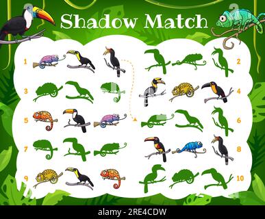 Kids shadow match game toucans and chameleons in jungle. Vector worksheet, children logic task find correct bird and lizard silhouettes. Cartoon riddle for baby education, logical mind development Stock Vector