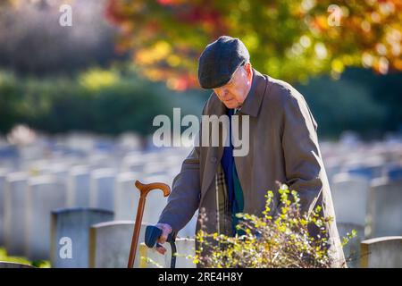 Sir Michael Caine as Bernard Jordan in The Great Escaper on location at Brookwood Military Cemetery Stock Photo