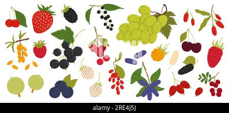 Organic ripe berries, raspberry or blueberry fruits with strawberry and blackberry, vector harvest. Forest berries, cranberry with garden cherry and currant, gooseberry, blackcurrant and grape Stock Vector