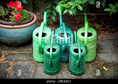Grüne Gießkannen stehen sortiert in einem Garten zusammen. Stock Photo