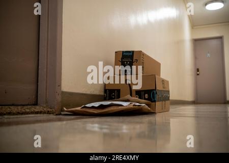 The largesse of online shopping in front of an apartment door in a hallwayin New York on Tuesday, July 18, 2023. (© Richard B. Levine) Stock Photo