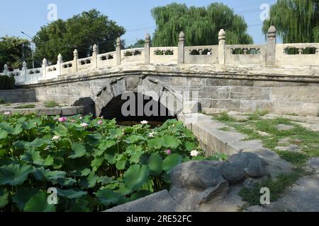 (230725) -- BEIJING, July 25, 2023 (Xinhua) -- This photo taken on July 18, 2023 shows the Wanning Bridge in Beijing, capital of China.  First created in the Yuan Dynasty (1271-1368), the Beijing Central Axis, or Zhongzhouxian, stretches 7.8 kilometers between the Yongding Gate in the south of the city and the Drum Tower and Bell Tower in the north. Most of the major old-city buildings of Beijing sit along this axis.   Gates, palaces, temples, squares and gardens of the old city are all linked up to the axis. As they witnessed the folk activities along the line from old days to new ones, they Stock Photo