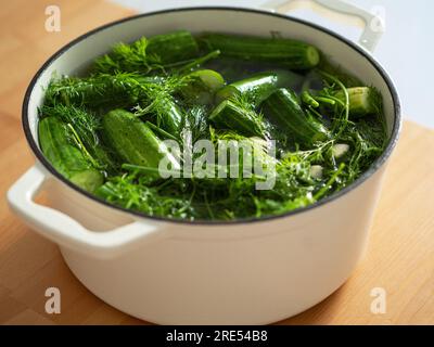 Preservations, conservation. Salted, pickled cucumbers in a pan on wooden table. Cucumbers, herbs, dill, garlic. Front view Stock Photo