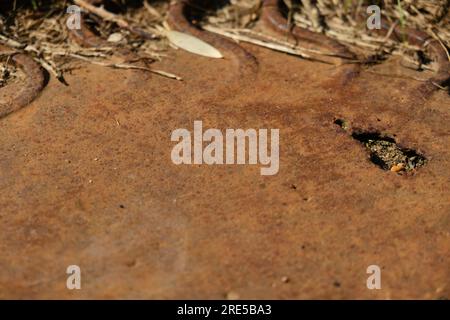 Dark worn rusty metal texture background Stock Photo