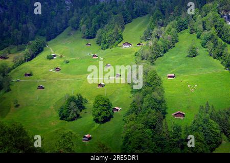 Swiss farm houses in Lauterbrunnen valley in the Swiss Alps Jungfrau Region. Stock Photo