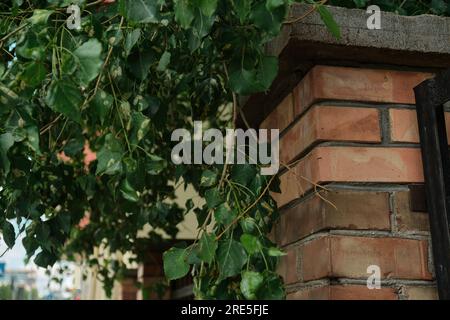 Red brick and brick edge from pillar in front of wall as texture background Stock Photo