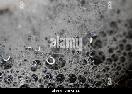 Soap bubble foam macro on black background. White soft foam Stock Photo