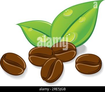 Grains of coffee. Coffee beans with green leaves. Vector on transparent background Stock Vector