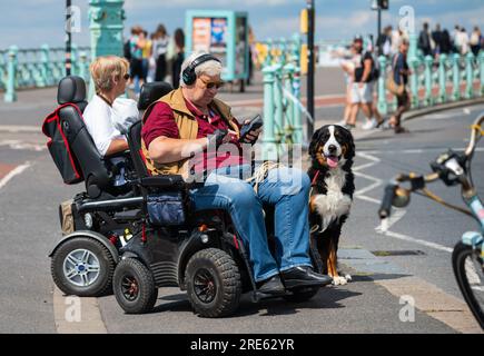 Male and female pair both in mobility scooters with dog, using mobile phone, in Summer, on promenade at seaside town, Brighton & Hove, England, UK. Stock Photo