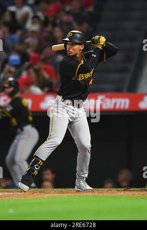 Download Pittsburgh Pirates Iphone Baseball Wallpaper