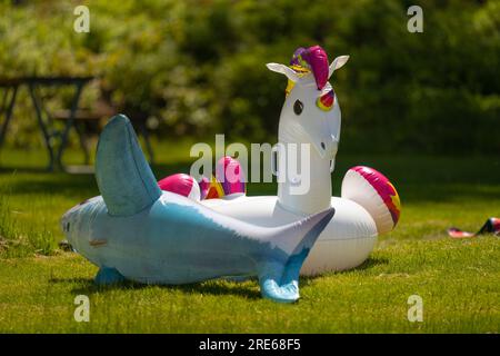 Inflatable rafts shaped as a unicorn and a shark on grass Stock Photo