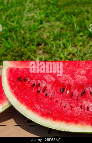 A seeded watermelon is sliced to expose the interior flesh, June 27, 2023, in Mobile, Alabama. Watermelon is cultivated throughout the world. Stock Photo