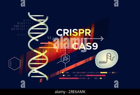 Genetics Research - Gene Editing and Modifying DNA Helix - CRISPR-CAS9 Technology - Abstract Illustration as EPS 10 File Stock Vector