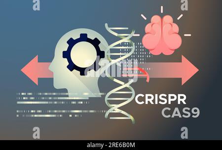 Genetics Research - Gene Editing and Modifying DNA Helix - CRISPR-CAS9 Technology - Abstract Illustration as EPS 10 File Stock Vector