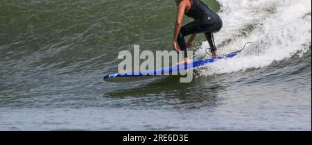 Side view of a man surfing wearing a wetsuit riding a wave off the coast of Long Island. Stock Photo