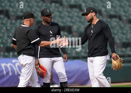 Chicago White Sox manager Pedro Grifol stands in the dugout before a  baseball game against the Chicago White Sox in Pittsburgh, Saturday, April  8, 2023. (AP Photo/Gene J. Puskar Stock Photo - Alamy