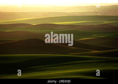 Rolling hills stretch off towards the western horizon at sunset on a spring evening. Whitman County, Washington, USA. Stock Photo