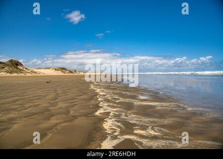 Endless miles of deserted beach with no people at all at Ninety Mile Beach in Northland NZ Stock Photo