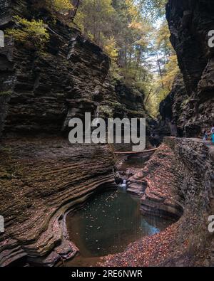 Drizzle in the a gorge at Glen Watkins Stock Photo
