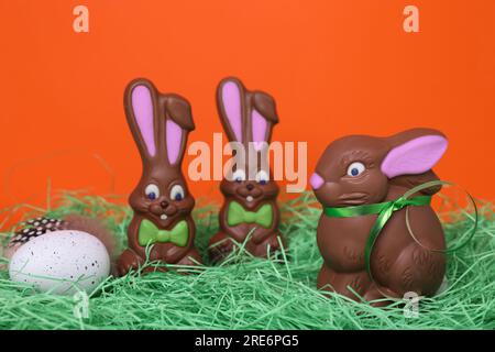 Easter celebration. Funny chocolate bunnies and painted egg with feather on grass against red background Stock Photo