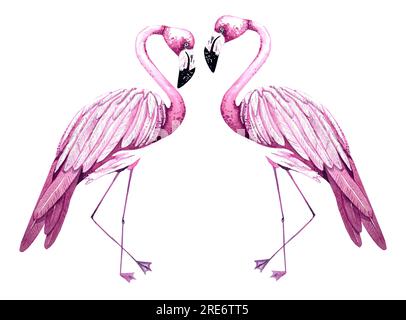 Watercolor pair of hand drawn pink flamingos. Bird isolated on white background. Flamingo illustration for design cards, invitations, fabric stickers, Stock Photo