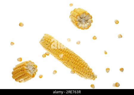 Flying corn cobs and kernels on white background Stock Photo