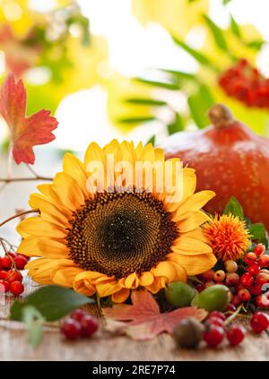 Autumn still life with seasonal fruits,flowers and vegetables on wooden background. Stock Photo