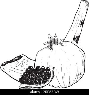 Vector pomegranate fruits and shofar ram horn for Jewish new year, Rosh Hashanah, Yom Kippur graphic illustration Stock Vector