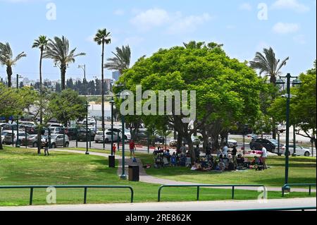Relaxation in the Ra'anana Municipal Park Stock Photo