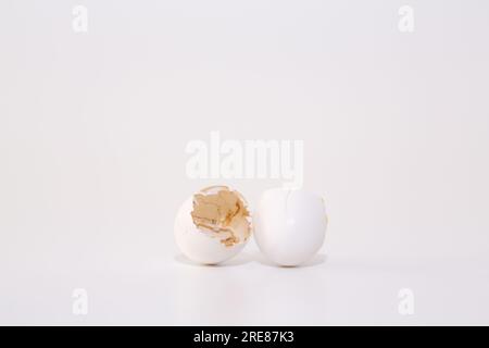 Broken white eggshell on clean background. Fragile white egg shell with cracks. Concept of birth or vulnerability. Minimalist stock image. Stock Photo